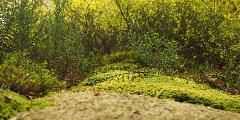 从传统到电竞娱乐：网吧管理进阶的三大核心解决方案