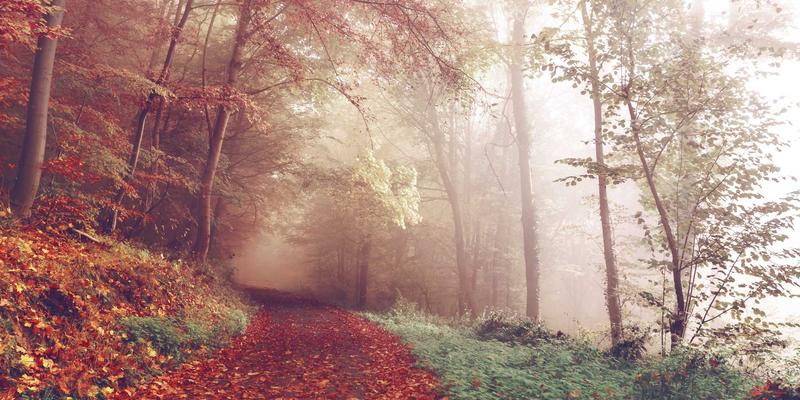 大数据驱动变革：如何利用网吧系统优化电竞网吧商品结构与销售策略