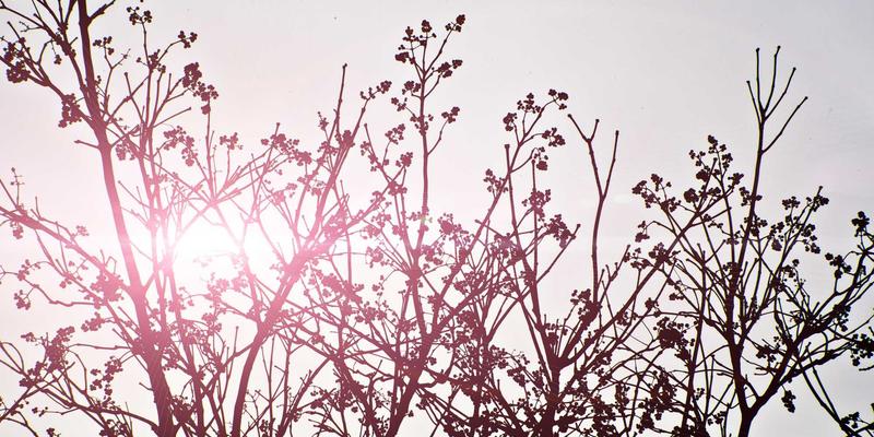 电竞网吧员工培训体系构建：打造专业服务与高效运营的网吧解决方案