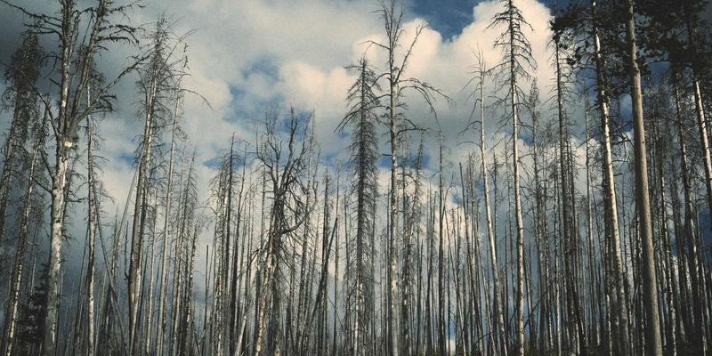 电竞网吧员工培训方案：提升服务礼仪与高效处理常见问题