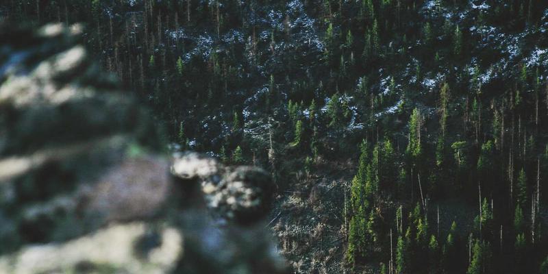 电竞网吧如何筑牢未成年人保护网？技术实现与管理监督要点解析