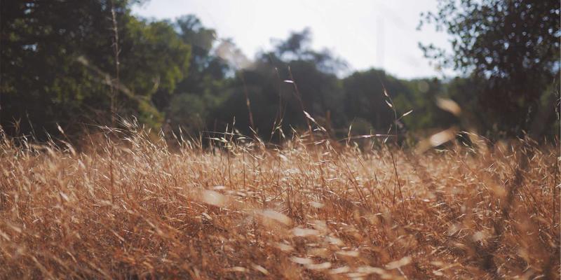 电竞网吧消防安全管理制度与应急预案制定全指南：打造安全电竞娱乐解决方案