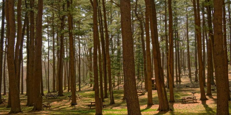 网吧管理6.0时代：电竞娱乐转型与智能化解决方案深度解析