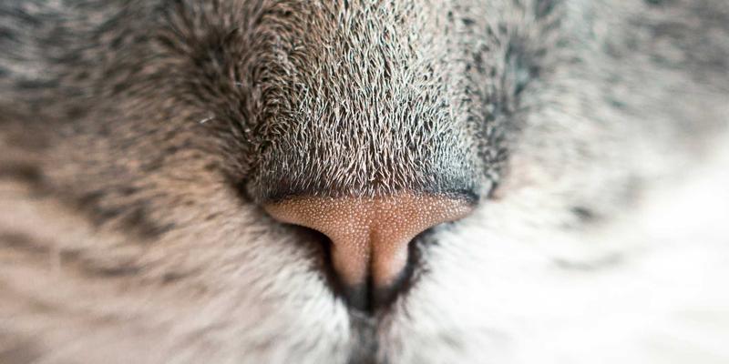 网吧管理62：电竞时代下的智能解决方案与系统革新