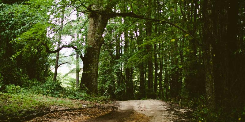 网吧管理89：电竞时代下的高效运营与智能解决方案