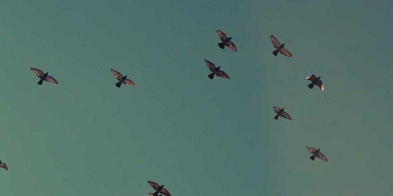 网吧管理入门：从基础系统搭建到电竞特色运营全攻略