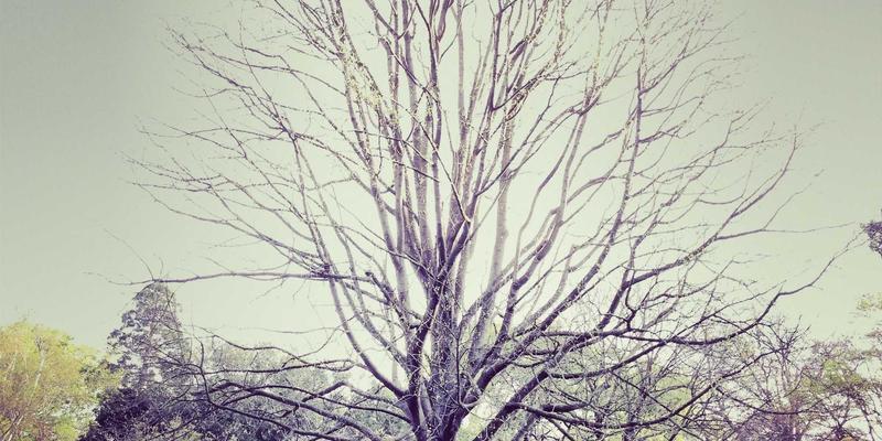 网吧管理新篇章：构建专业电竞服务与设备维护团队培训体系