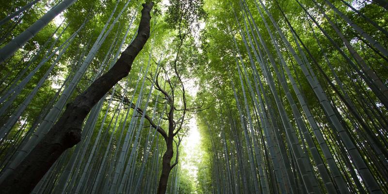 网吧解决方案新篇章：电竞娱乐时代的多店管理系统选型与实施指南