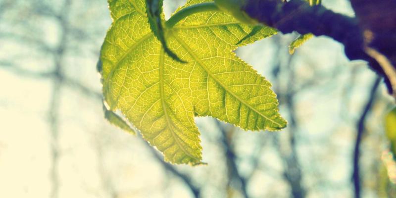 网吧饮品小吃业务深度运营：毛利率提升30%的实战解决方案