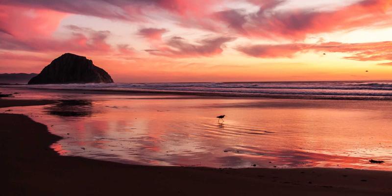 网吧高峰期排队难题破解：智能调度系统如何提升翻台率与顾客体验